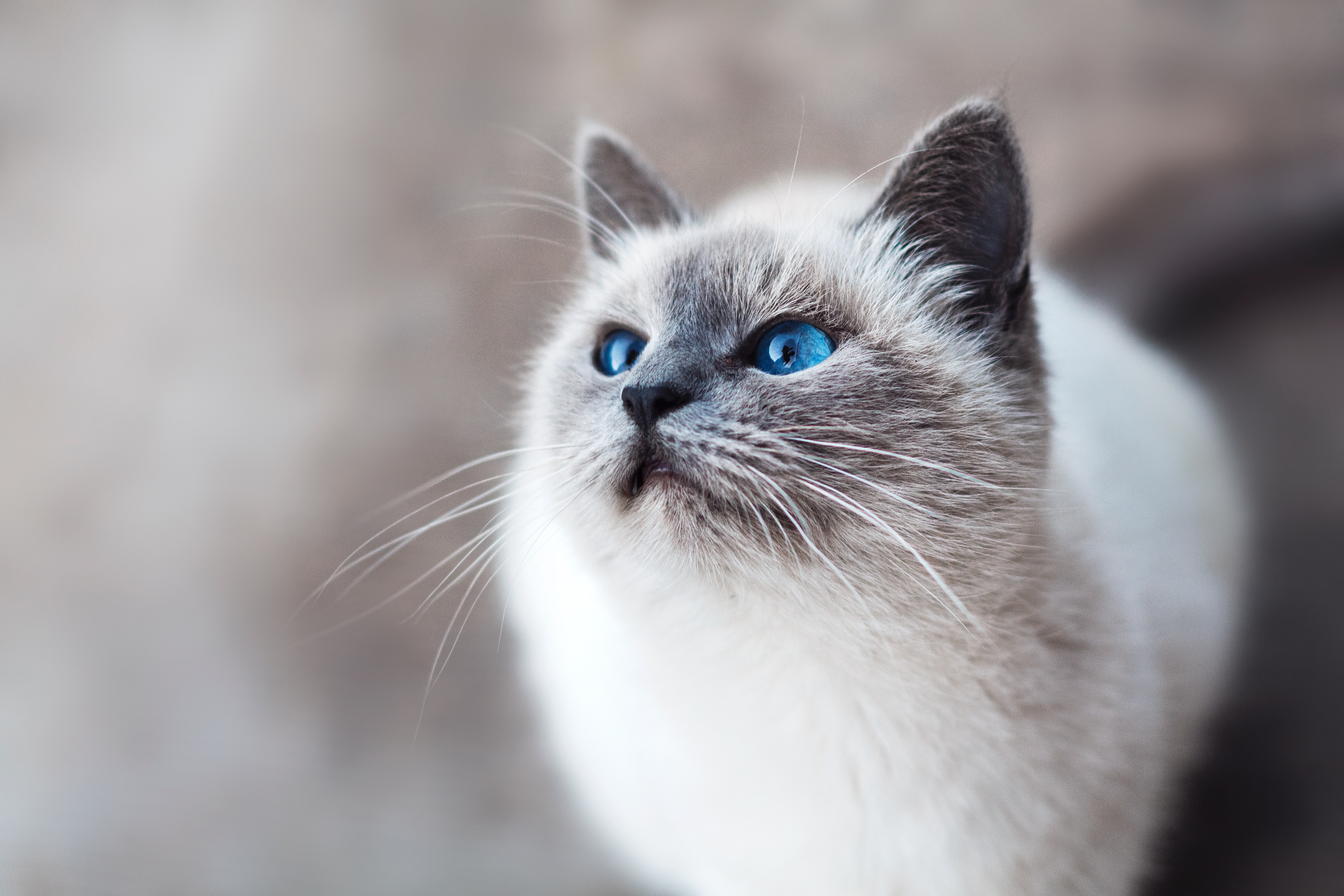 mikhail-vasilyev-IFxjDdqK_0U-unsplash